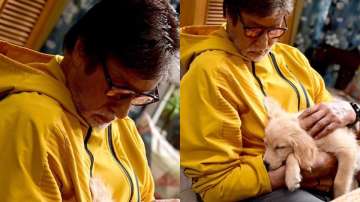 Goodbye: Amitabh Bachchan shares adorable pictures cuddling his new on-set companion