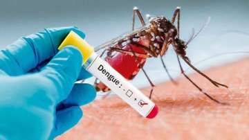 dengue in Delhi