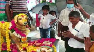 A man in Ampapuram in Krishna district, erected a statue of his pet dog on its fifth death anniversary. The dog remained with his family for 9 years.