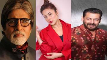 Eid al-Adha 2021 Mubarak! Salman Khan, Big B, Shehnaaz Gill & others wish fans on auspicious occasio