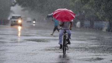 rains, Maharashtra rains, rains in north india