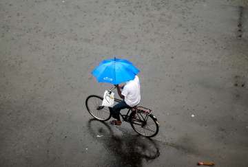Delhi receives highest-ever rainfall for July in 18 years: IMD