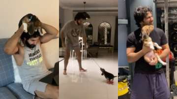 Varun Dhawan's play dates with adorable fur-ball Joey are friendship goals | WATCH