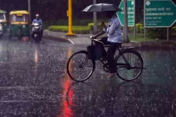 DELHI RAINS