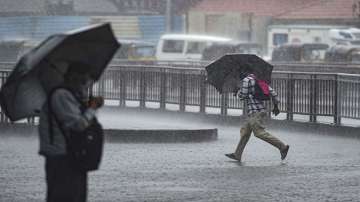 North, central India to receive intense rainfall over next four days: IMD