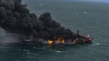 176 turtles, 20 dolphins, SEA ANIMALS dead, cargo ship fire, Sri Lanka, sri lanka latest internation