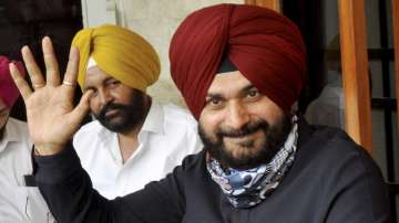 Navjot Sidhu, punjab congress chief 