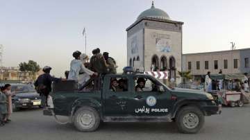taliban fighters, kabul news 