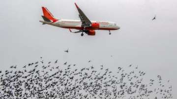 Air travel becomes costlier by up to 12.82% as Centre raises domestic airfares