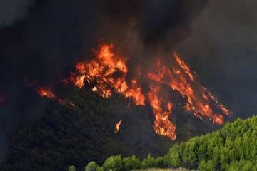 One dead, over 40 injured in wildfires near Athens