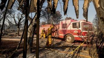 California wildfire, wildfire season, wildlife damage, latest international news updates, California