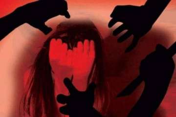 rape kidnap case noida
