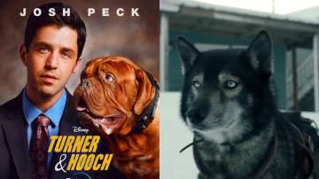 International Dog Day 2021: Binge watch titles like Turner & Hooch and Togo with your furry friends