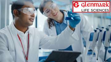 Glenmark Life Sciences IPO allotment status, Glenmark Life Sciences GMP
