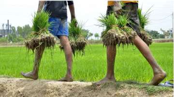 PM Kisan Nidhi Scheme: PM Modi to release 9th installment on Monday, 10 crore farmers to get benefited