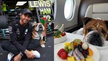  Lewis Hamilton trolled for serving planet-saving vegan diet to his dig on a luxury private jet