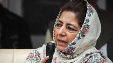 Addressing her party workers in Kulgam district of south Kashmir, Mehbooba also appealed to the youth not to pick up arms, saying the issue cannot be resolved with guns or stones.