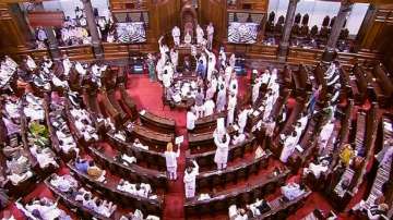 Lok sabha, parliament adjourned, protests