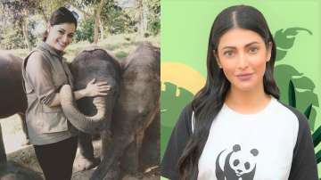 World Elephant Day 2021: Dia Mirza, Shruti Haasan spread awareness through inspiring post