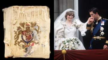 Prince Charles, Princess Diana's wedding cake slice sells for whopping price of $2,565