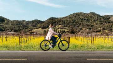 A sustainable vacation in Monterey County, San Francisco