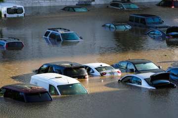 death toll hurricane ida