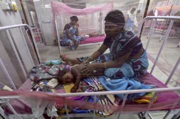 14 dead, including 12 children due to dengue-like viral fever in UP's Mathura