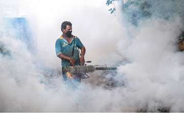 mumbai dengue cases
