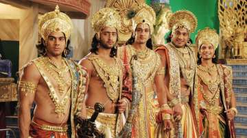 Shaheer, Sourabh grateful as Mahabharat turns 8