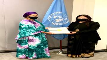 Meenakashi Lekhi, United Nations, UN Deputy Secretary General, Amina Mohammed, regional issues, late