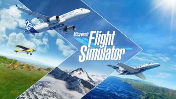 flight sim