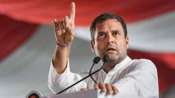 BJP-RSS 'fake Hindus', they 'use' religion: Rahul Gandhi