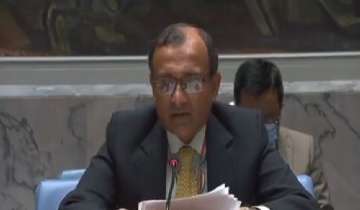 Afghan territory should not be used to attack any country: India at UNSC meeting