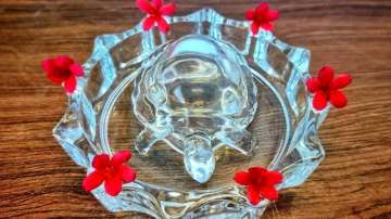 Vastu Tips: Facing financial problems? Keeping crystal tortoise at home will help