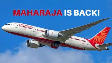BREAKING | 'Maharaja' is back! Tata Group wins bid for Air India