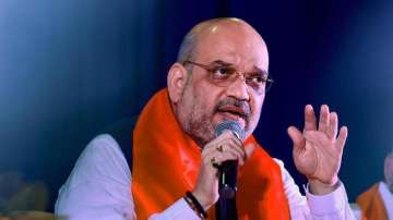 Netaji, Sardar Patel didn't get due recognition or respect for years: Amit Shah