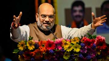 Union Home Minister Amit Shah addresses BJP workers during a meeting at Taleigao in North Goa on Thursday.