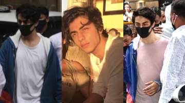What happened before and after Aryan Khan's arrest?