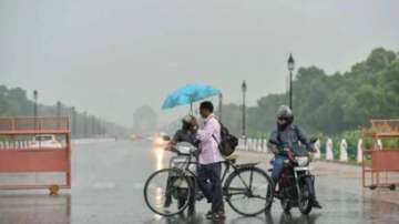 Rainfall in Delhi this monsoon 80 per cent more than normal 