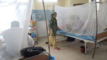 Pakistan, pakistan hospitals, hospitals run out of beds, dengue surge, latest international news upd