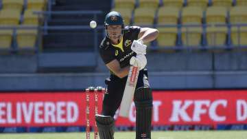 T20 World Cup: Marcus Stoinis should be fit for opening game against South Africa, says Josh Hazlewo