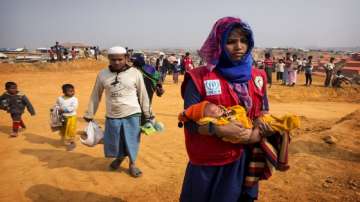 Rohingya, Rohingya death, clashes, clashes between two groups, Bangladesh, latest international news