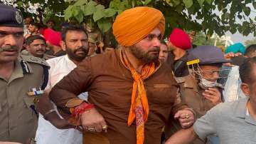Lakhimpur Kheri Violence LIVE Updates: Congress leader Navjot Sidhu taken into custody at Haryana-UP border