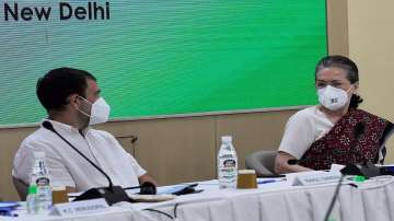 Sonia Gandhi, Congress President SONAI GANDHI, CWC meeting, congress owrking committee meeting today