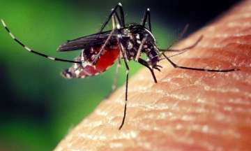 UP: High alert in Kanpur after 3 IAF personnel test positive for Zika virus 
