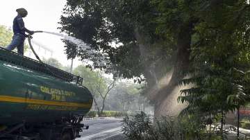 A worker sprays water on trees as part of efforts to curb air pollution, in New Delhi.