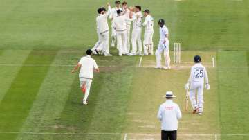 File PhotoNew Zealand players celebrating Virat Kohli's wickets (File Photo)
