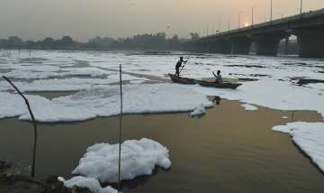 Yamuna River, Delhi pollution
