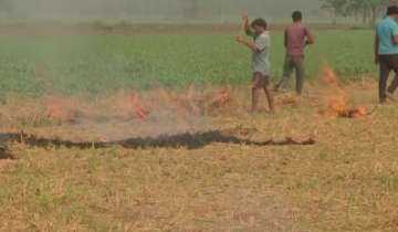 Punjab farmers continue to burn stubble, say govt has not provided compensation or equipment to stop it