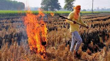 delhi aqi, stubble burning